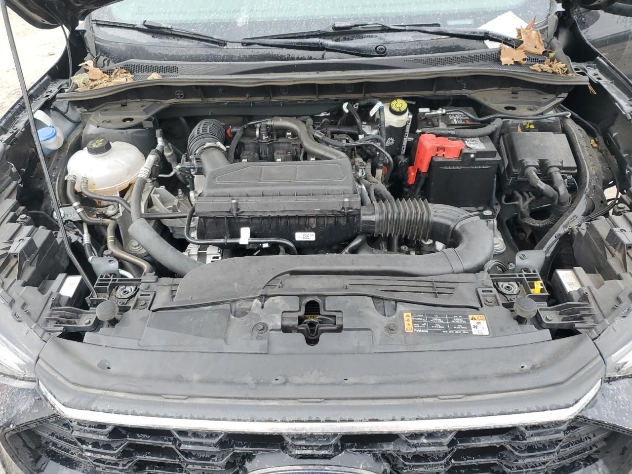 2024 Ford Escape st Line