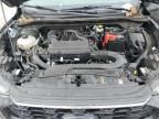 2024 Ford Escape st Line