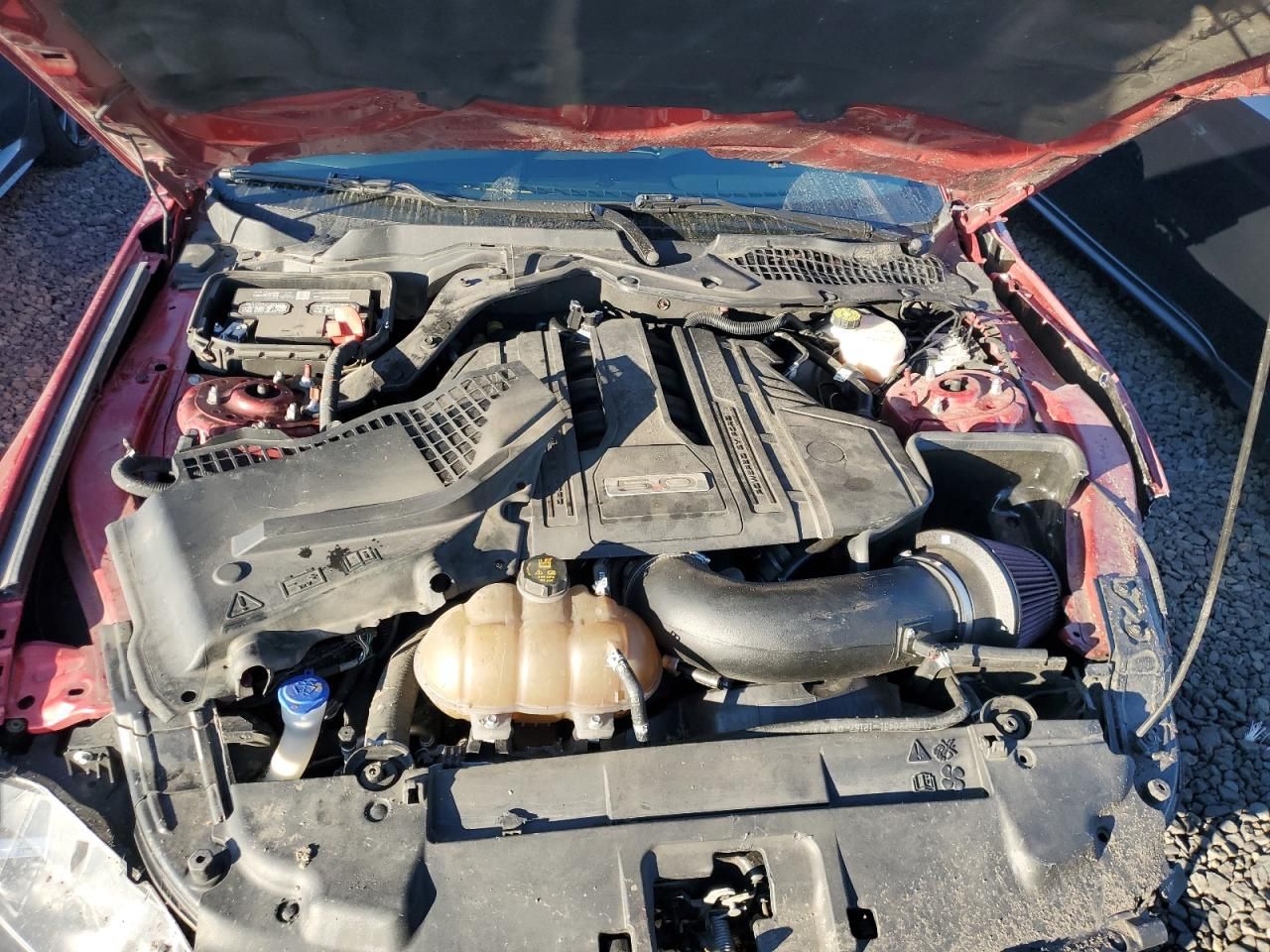 2021 Ford Mustang gt