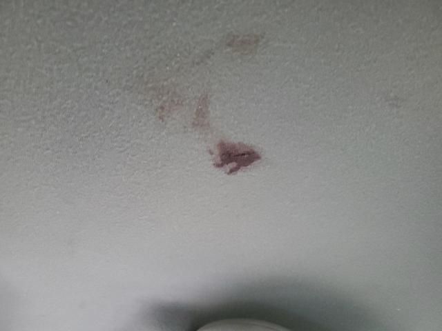 2009 Ford F250 Super Duty