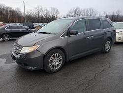 Vehiculos salvage en venta de Copart Marlboro, NY: 2011 Honda Odyssey ex