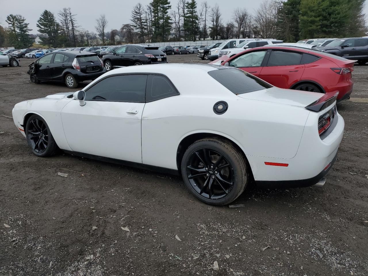 2017 Dodge Challenger sxt