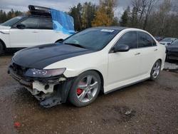Salvage cars for sale from Copart Cookstown, ON: 2004 Acura TSX
