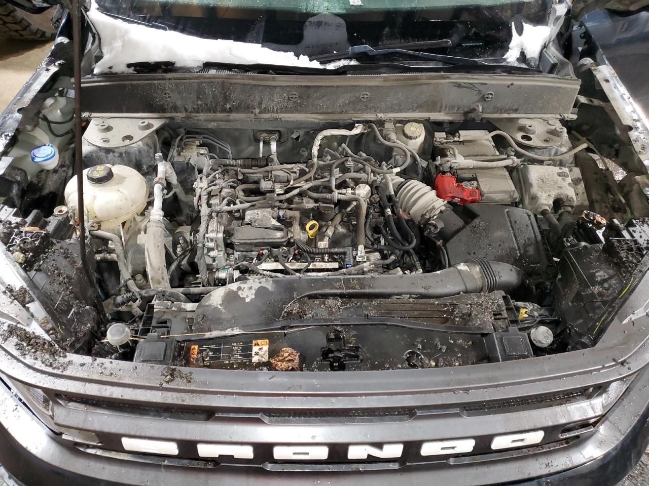 2021 Ford Bronco Sport big Bend