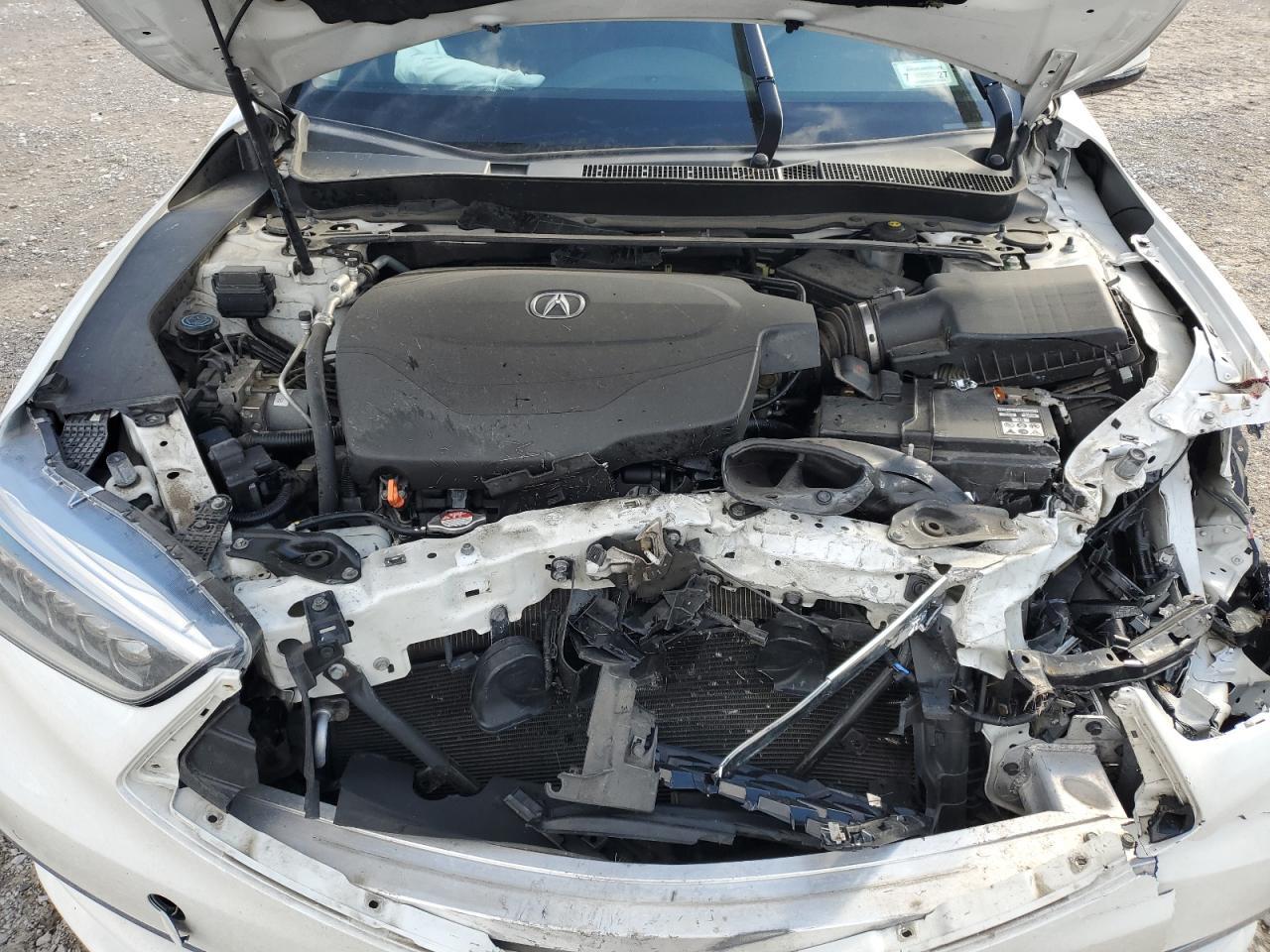 2019 Acura Tlx Advance