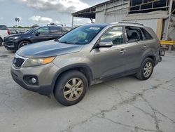 2011 KIA Sorento Base en venta en Corpus Christi, TX
