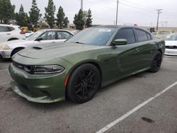 Dodge salvage cars for sale: 2019 Dodge Charger Scat Pack