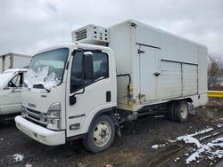 Salvage trucks for sale at Columbia Station, OH auction: 2024 Isuzu NPR HD Refrigerated BOX Truck