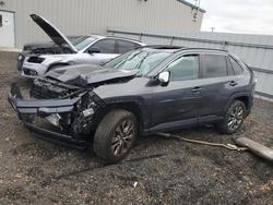 Toyota Rav4 salvage cars for sale: 2021 Toyota Rav4 xle Premium