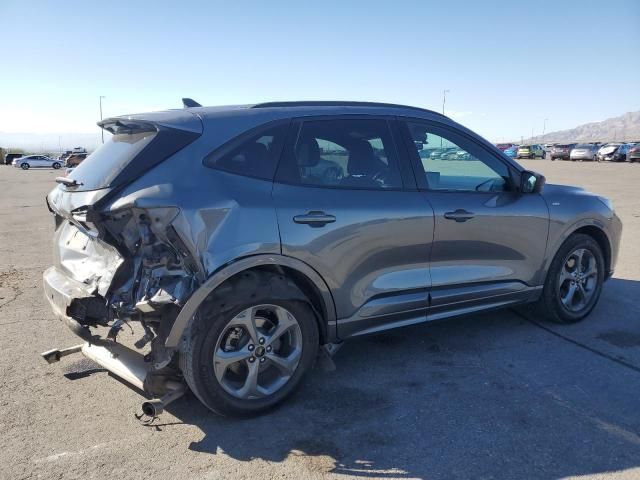 2023 Ford Escape st Line