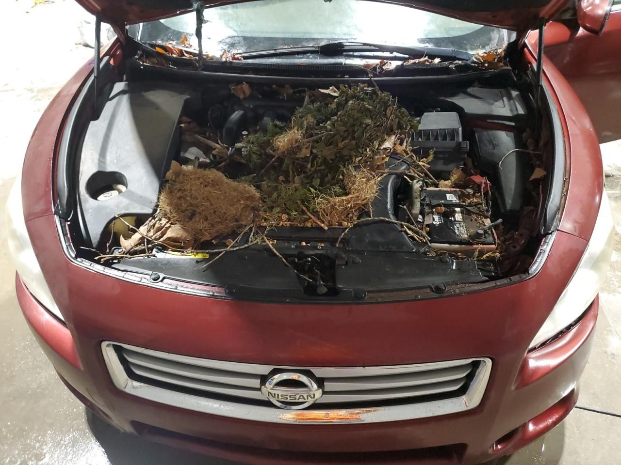 2012 Nissan Maxima s