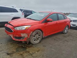 Ford Focus salvage cars for sale: 2015 Ford Focus se