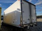 2023 Ford Transit BOX Truck