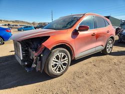 2020 Ford Escape sel for sale in Colorado Springs, CO