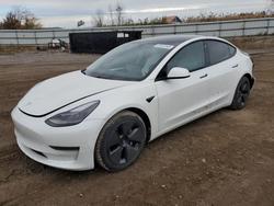 Tesla Model 3 salvage cars for sale: 2021 Tesla Model 3