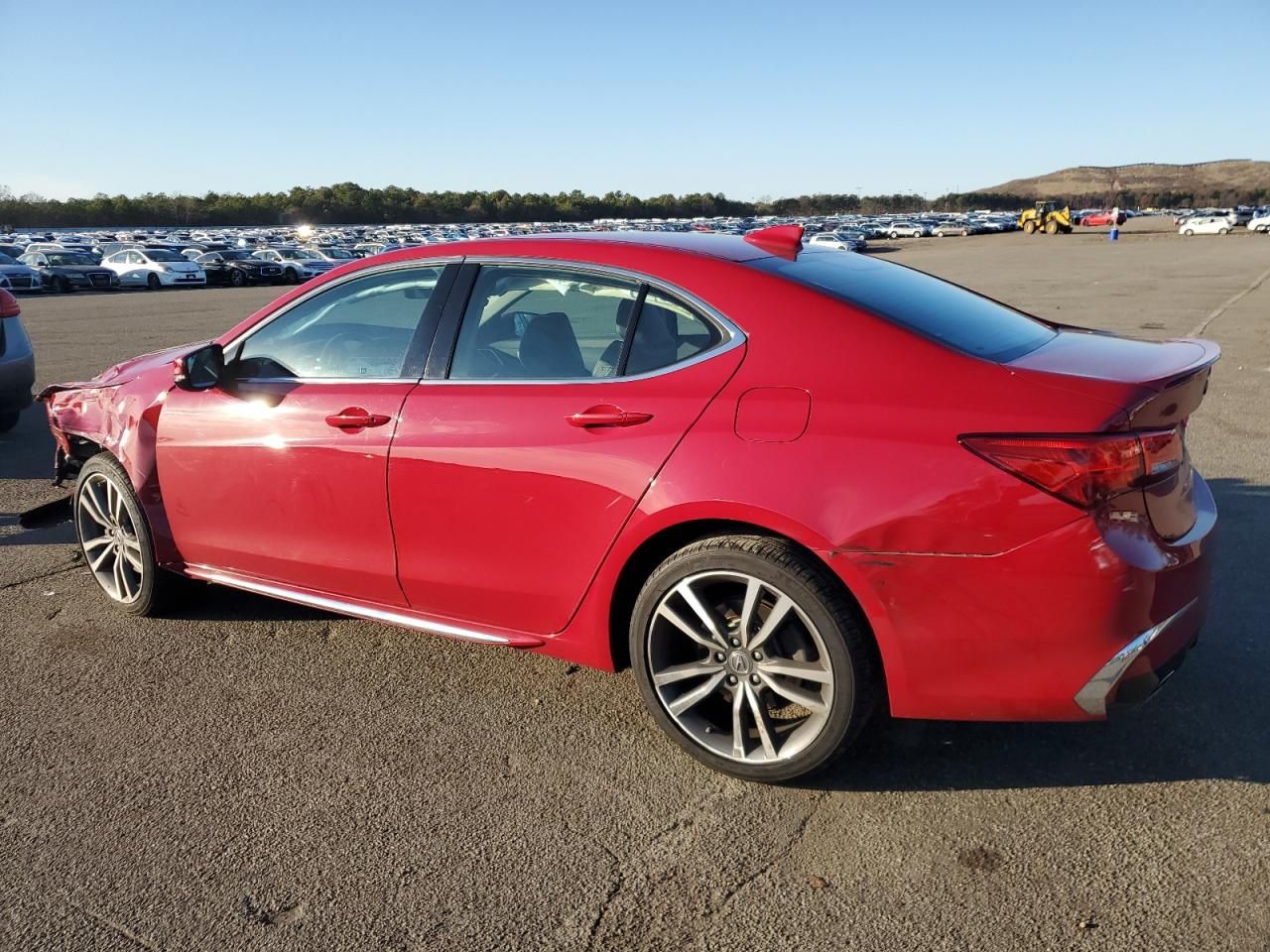 2019 Acura Tlx Advance