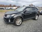 2014 KIA Sorento ex