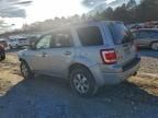 2009 Ford Escape Limited