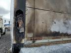 2019 Freigliner 2019 Freightliner Buisness Class Refrigerated BOX