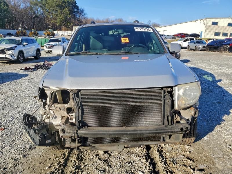 2009 Ford Escape Limited