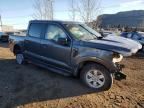 2025 Ford F150 XL