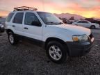 2007 Ford Escape xlt