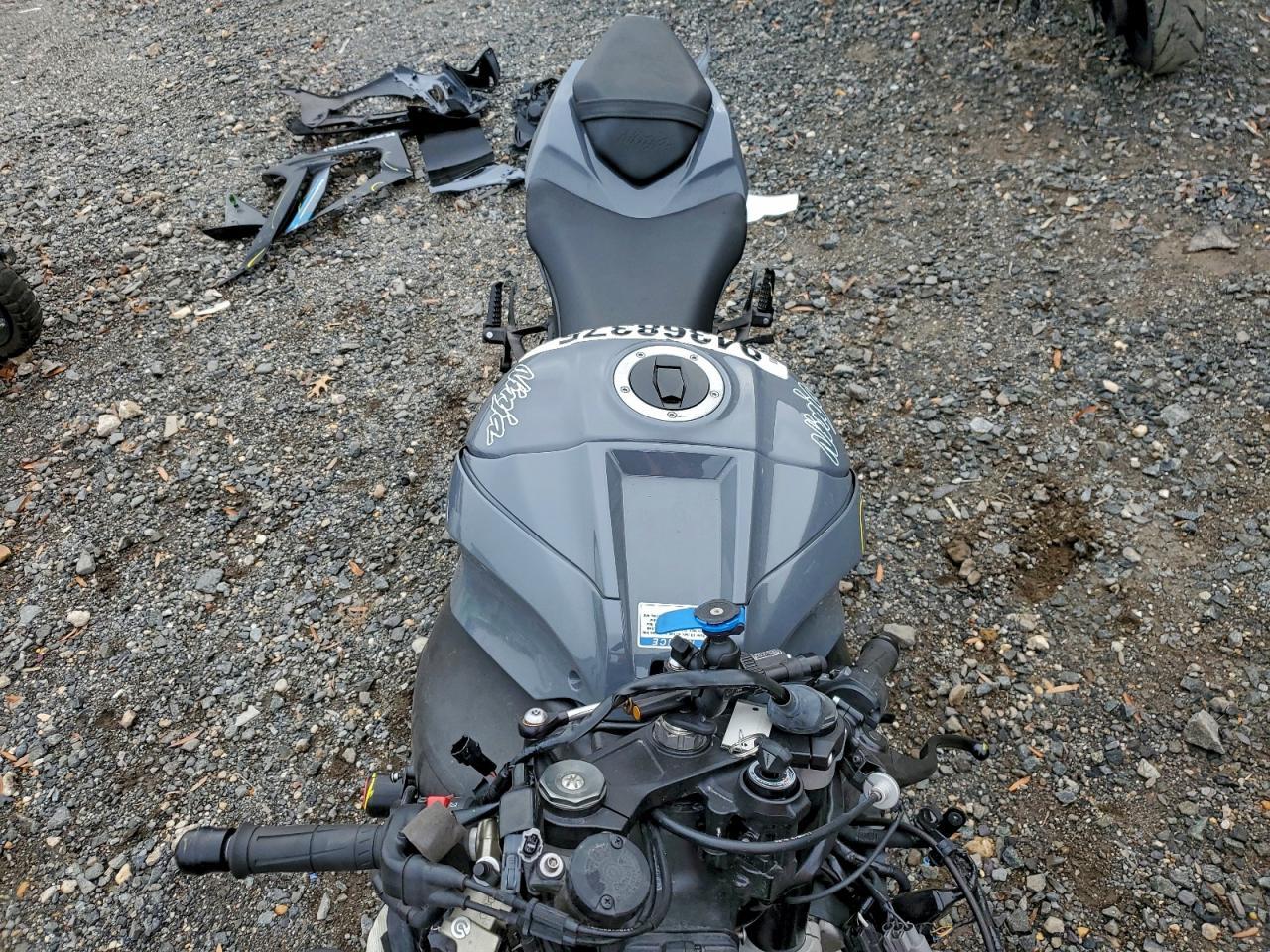 2019 Kawasaki ZX1002