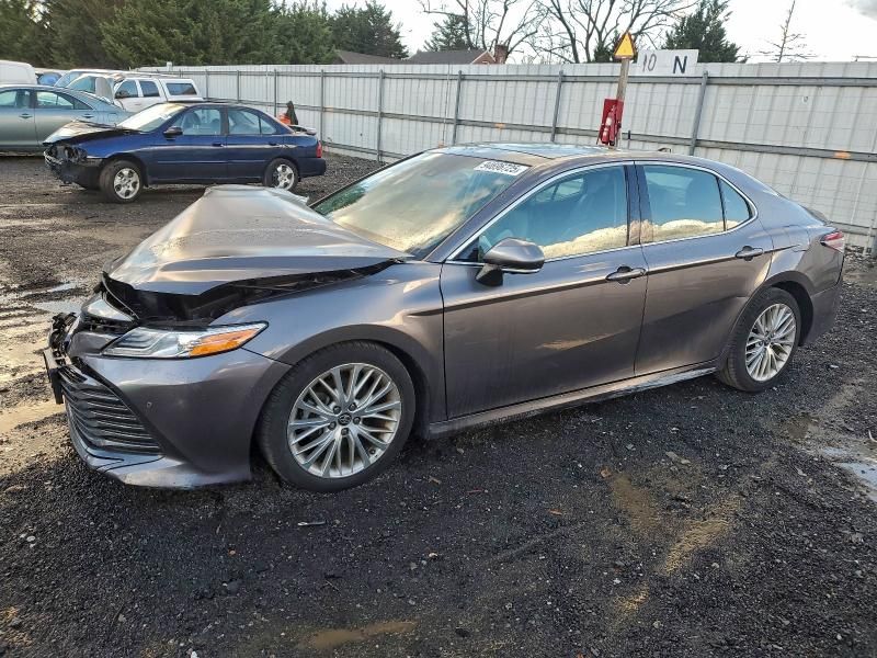 2019 Toyota Camry l