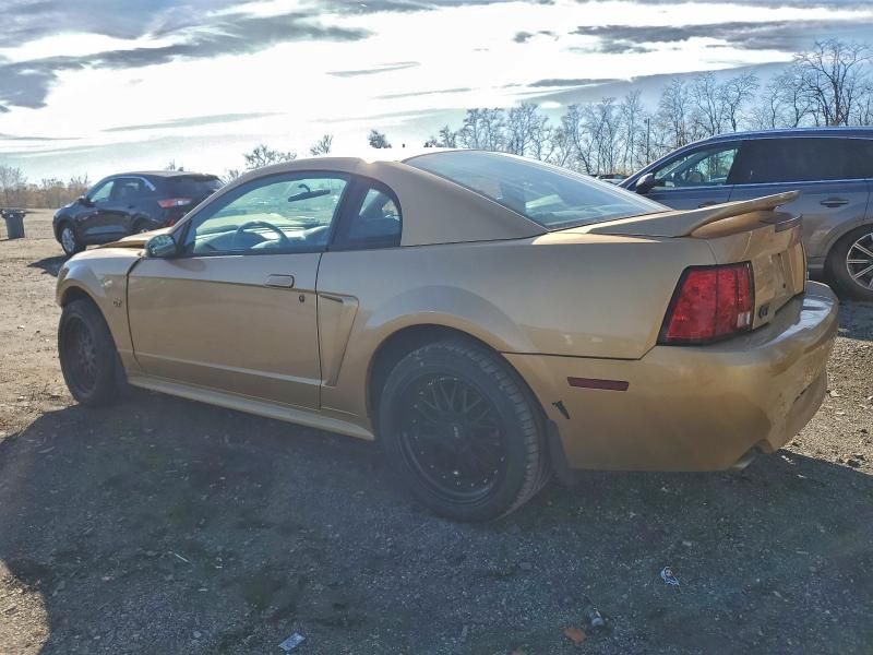 2000 Ford Mustang gt
