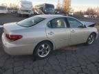2005 Lexus Es 330