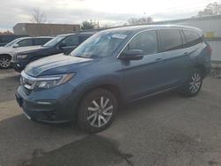 2019 Honda Pilot exl en venta en Glassboro, NJ