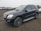 2010 Mercedes-Benz Ml 350 4matic