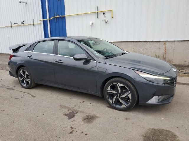 2023 Hyundai Elantra sel