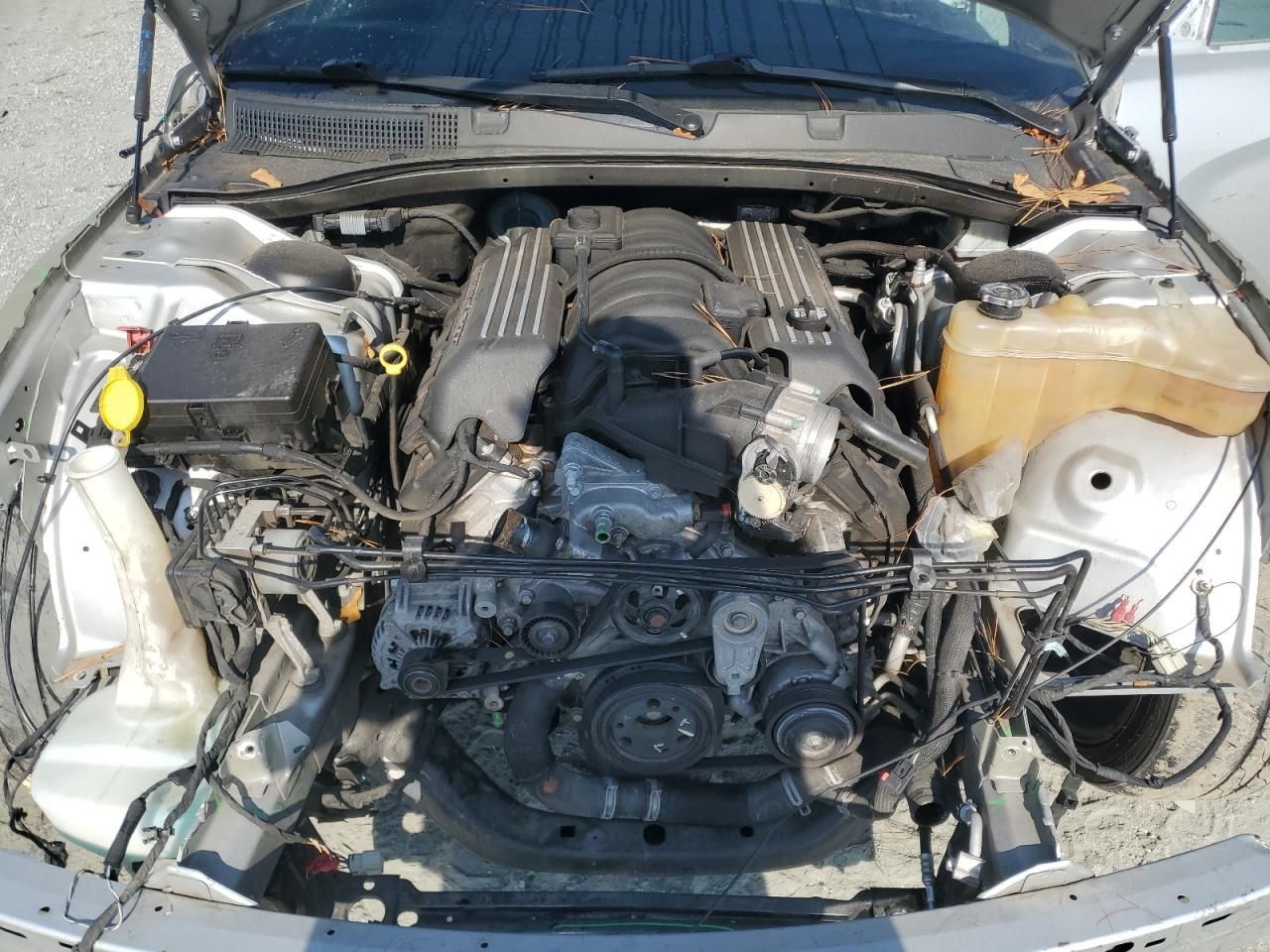 2019 Dodge Charger Scat Pack