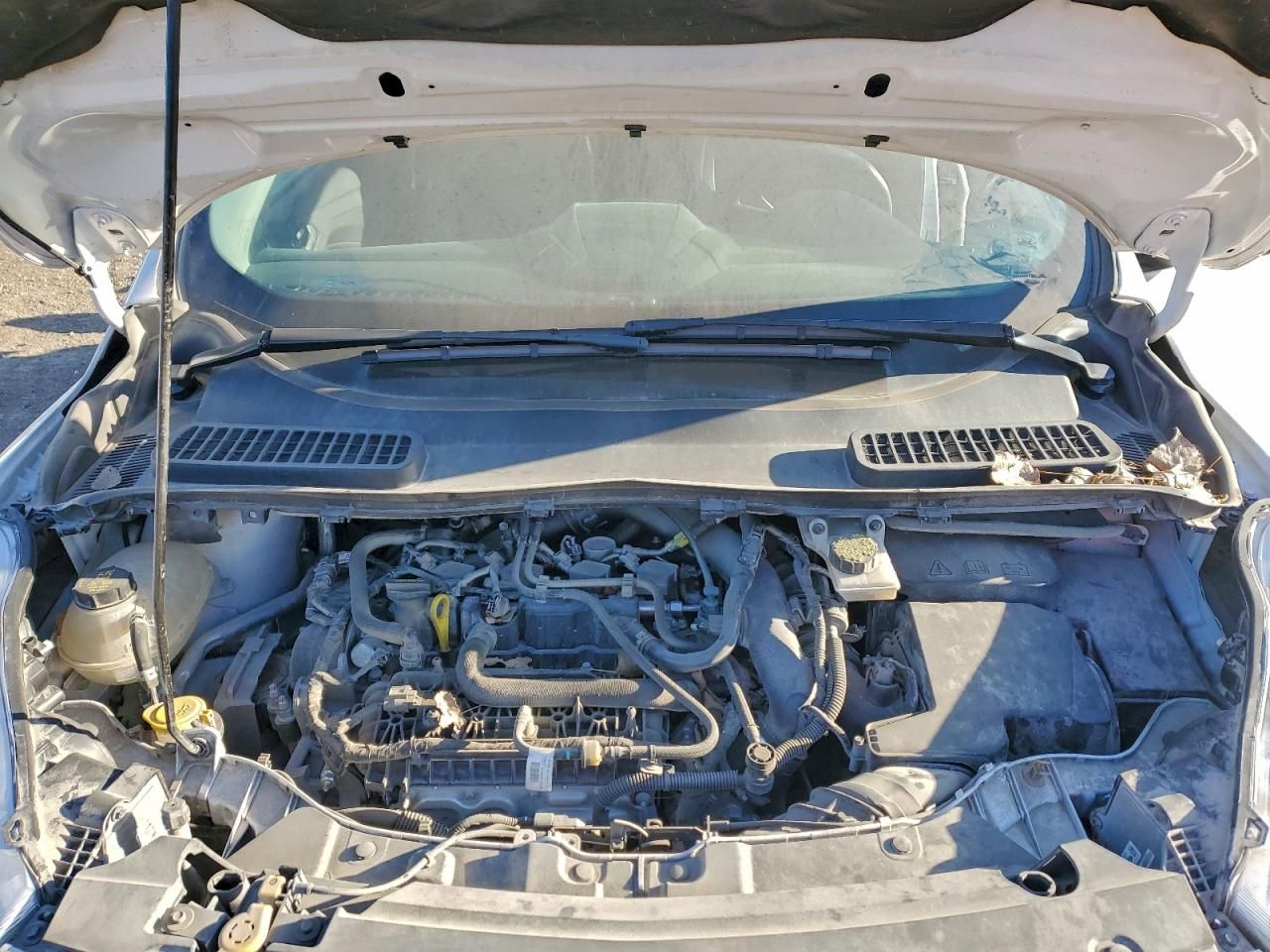 2019 Ford Escape sel