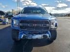 2019 Ford F150 Raptor
