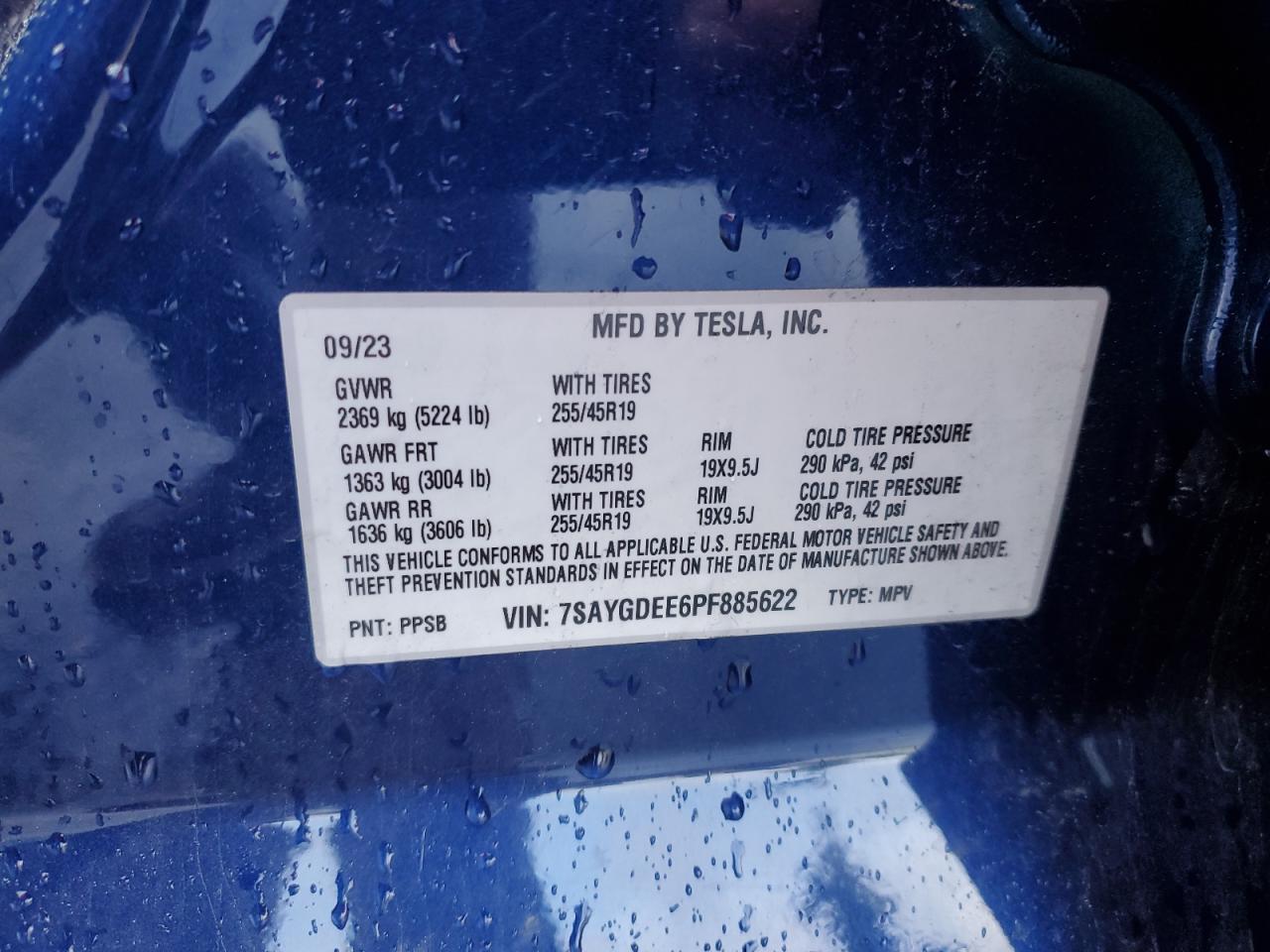 2023 Tesla Model y
