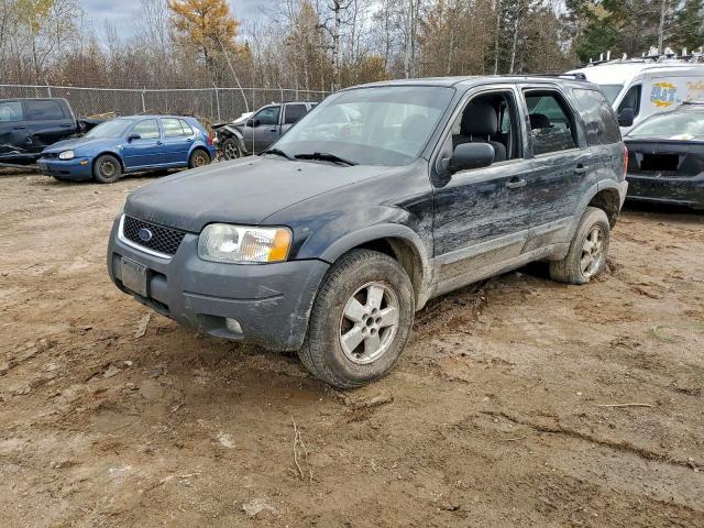 2004 Ford Escape xlt