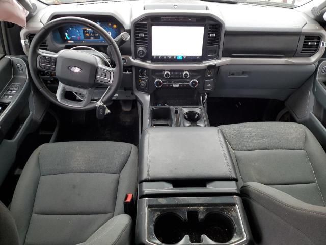2024 Ford F150 xlt
