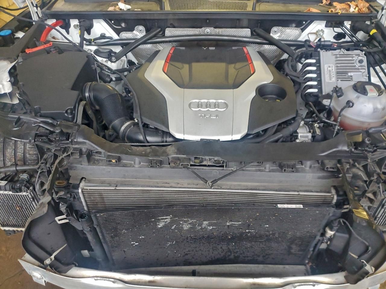 2019 Audi SQ5 Premium Plus