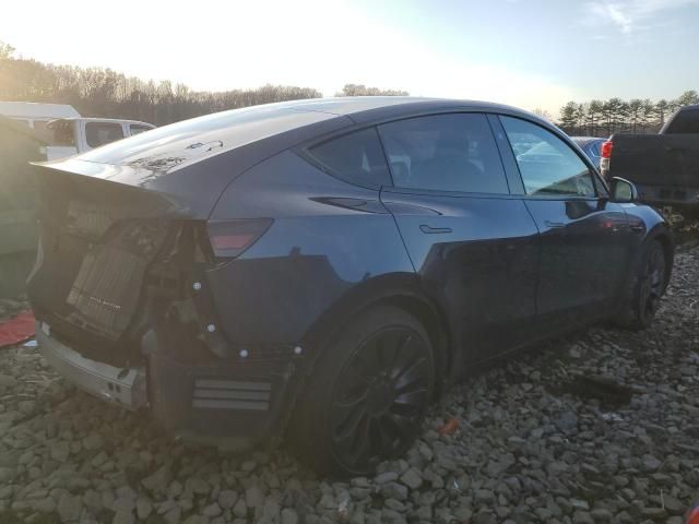 2024 Tesla Model y
