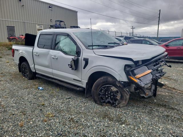 2024 Ford F150 xlt