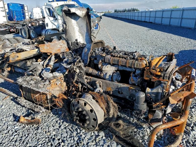 2020 Freightliner Cascadia 126