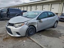 2014 Toyota Corolla l for sale in Louisville, KY