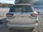 2023 Ford Escape st Line
