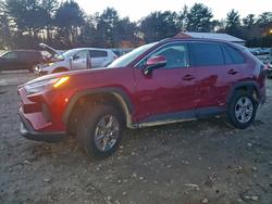 2025 Toyota Rav4 xle for sale in Mendon, MA