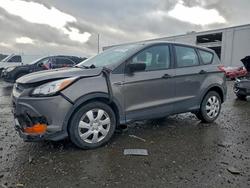 Ford Escape salvage cars for sale: 2013 Ford Escape s