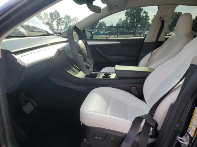 2025 Tesla Model y
