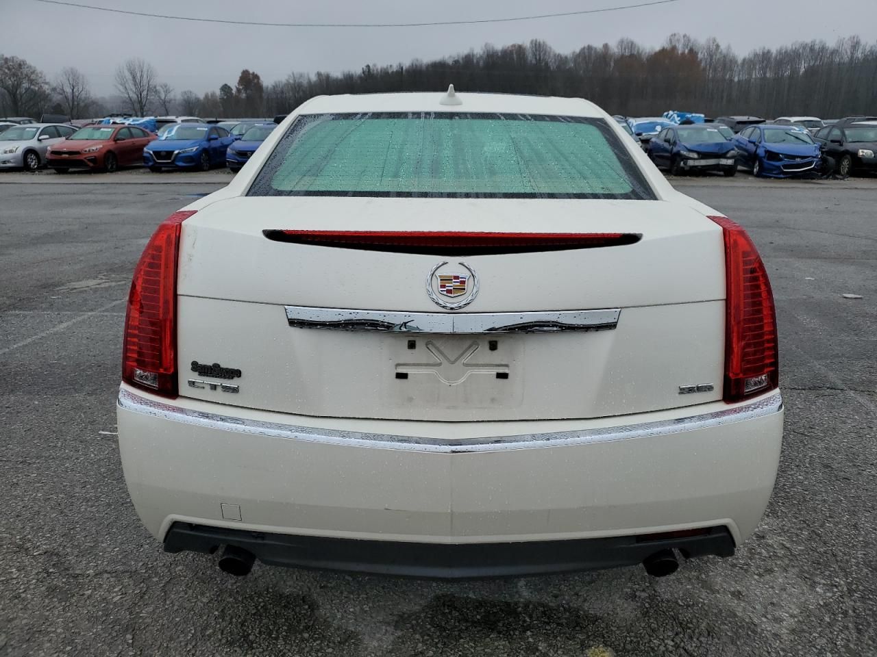 2010 Cadillac Cts Performance Collection
