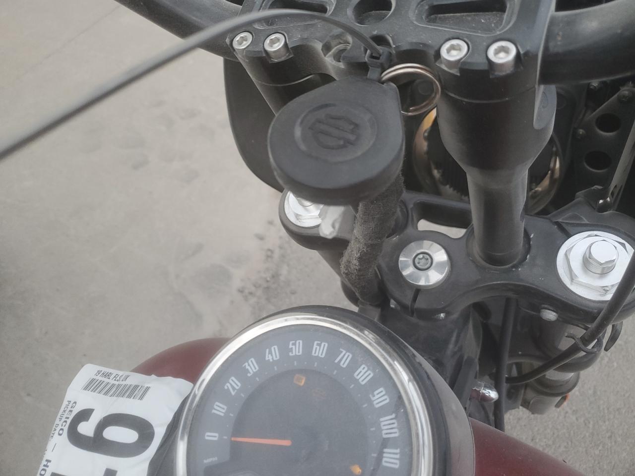 2019 Harley-Davidson Flsl